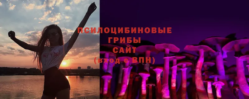 Галлюциногенные грибы Cubensis  Борисоглебск 